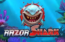 Razor Shark Razor Shark
